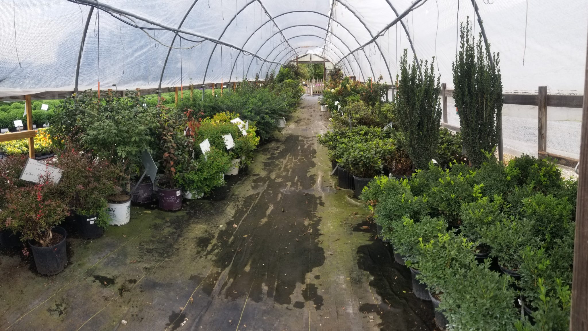 Garden Center Springfield IL Flower Shop Garden Shop