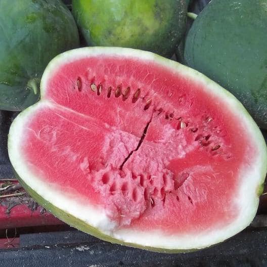 fresh produce black diamond watermelon cut open New City Greenhouse | Pawnee IL