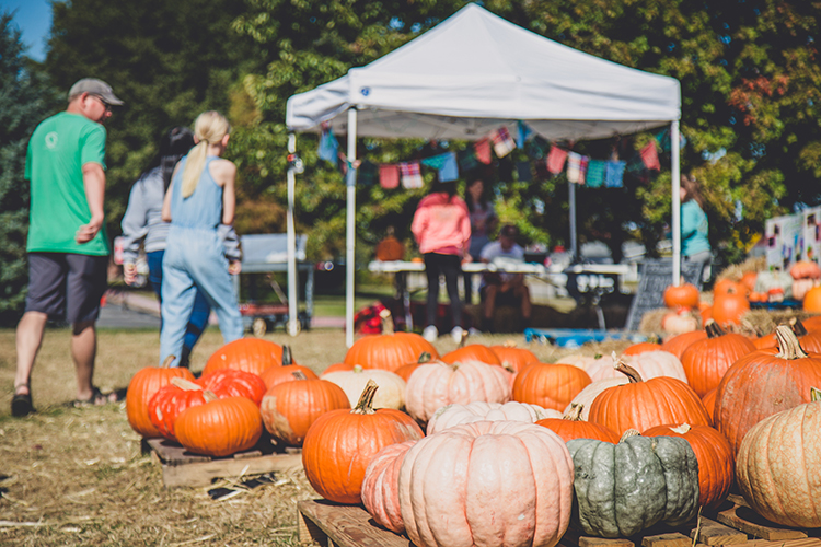 pick out your pumpkin fall fundraising