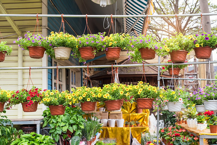 hanging flower pots on sale for fundraising