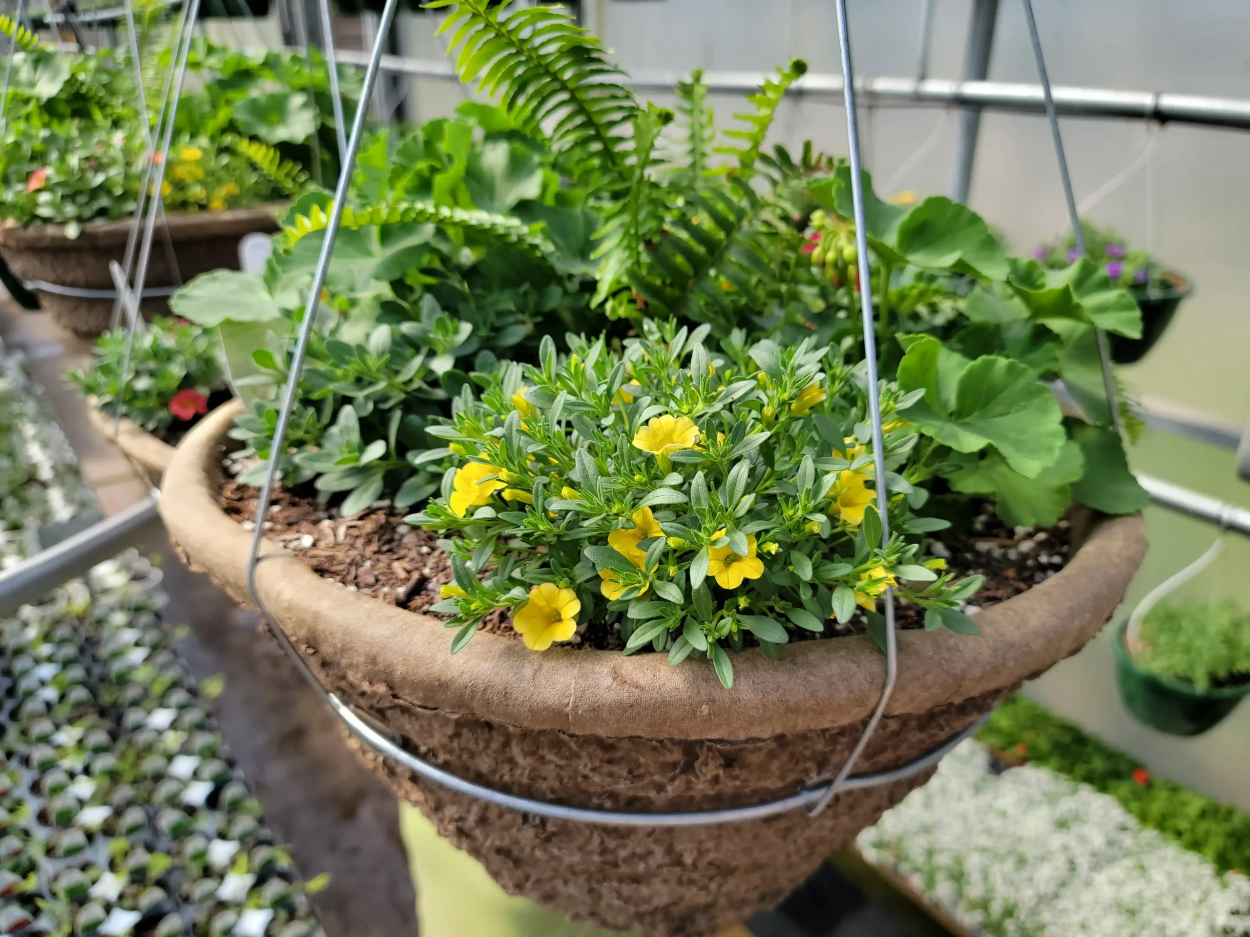 new-city-greenhouse-custom-baskets-04
