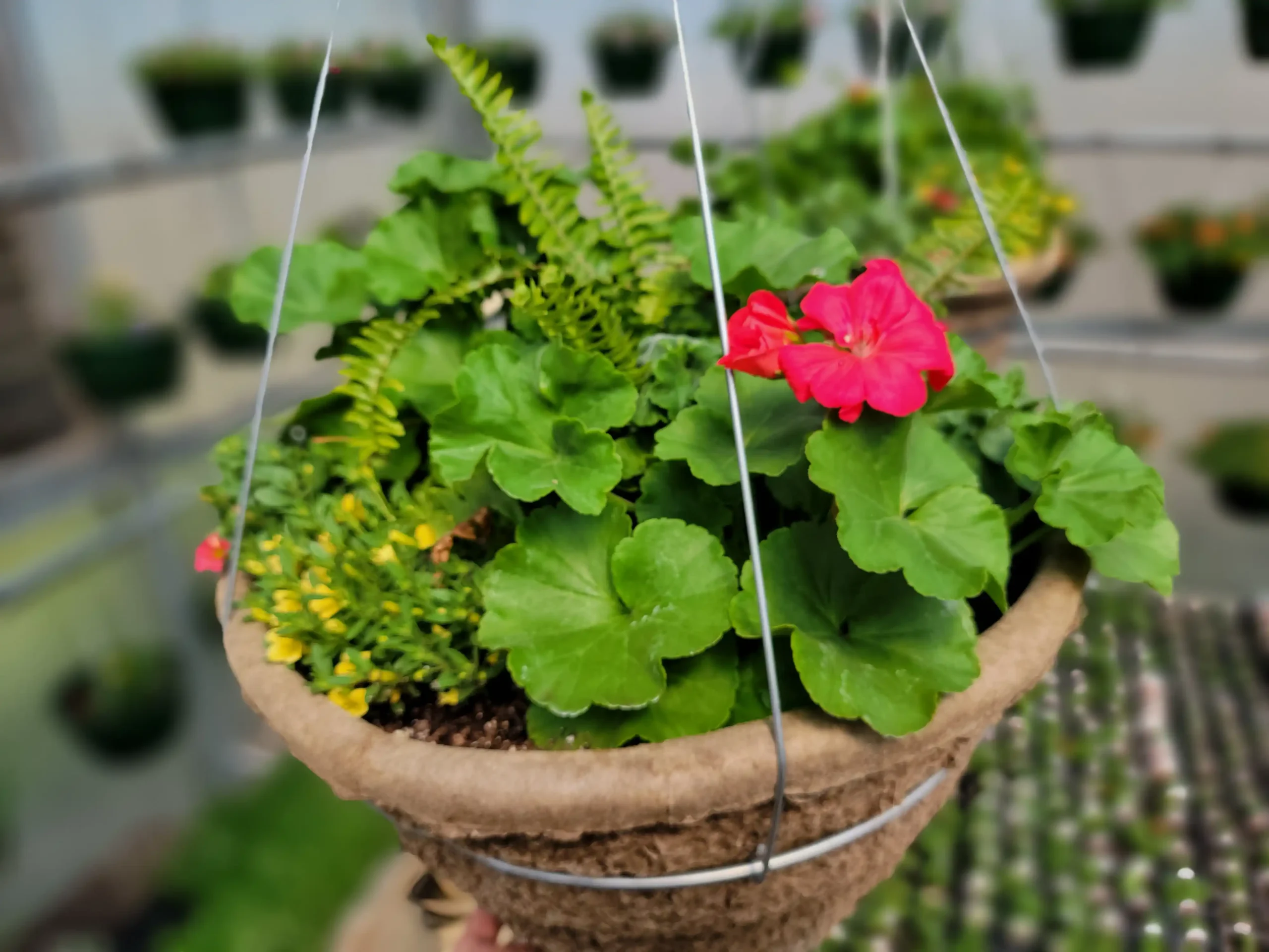 new-city-greenhouse-custom-baskets-05