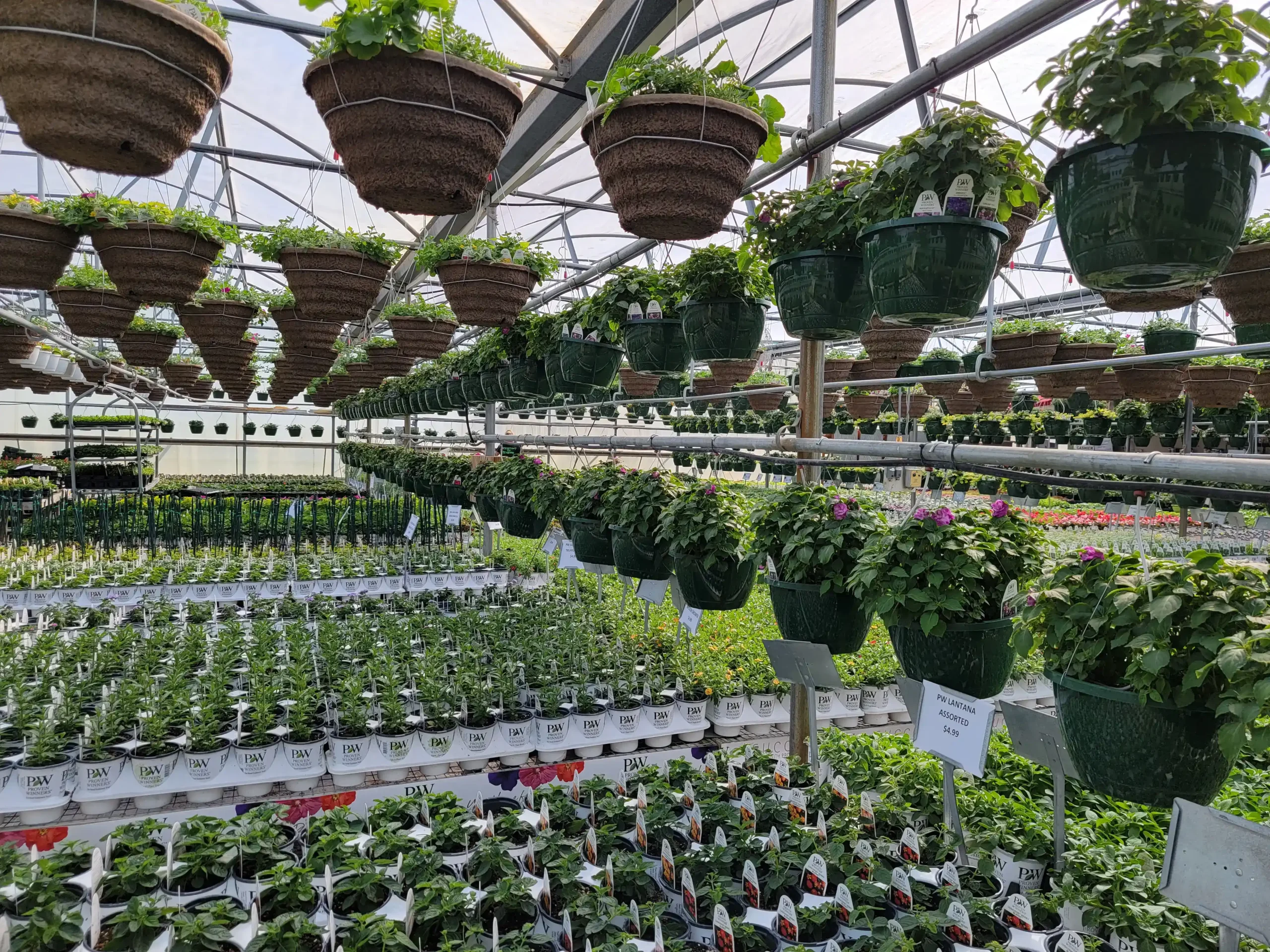 new-city-greenhouse-custom-baskets-10