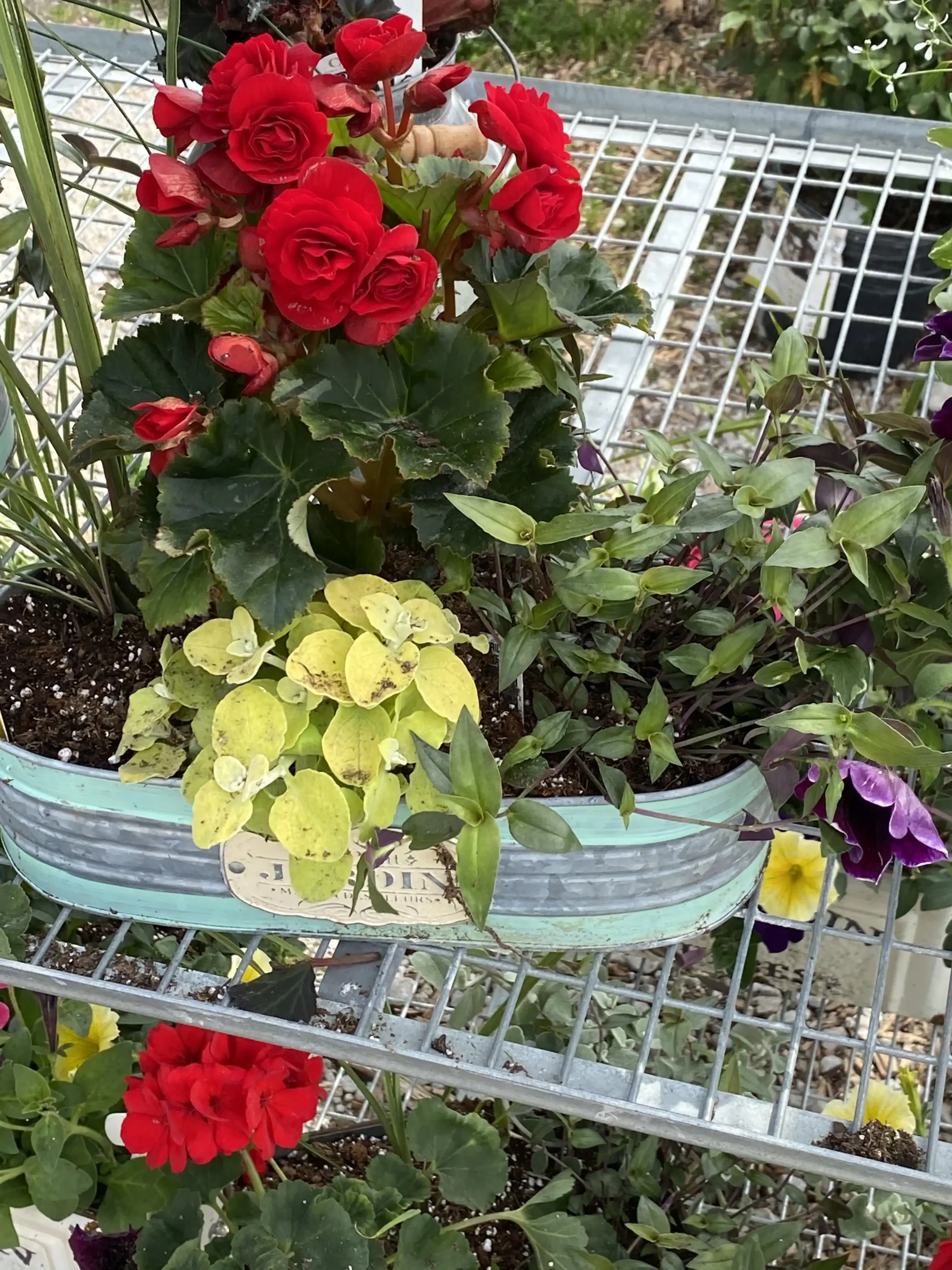 new-city-greenhouse-custom-baskets-13