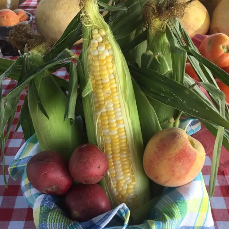 baskets of red potatoes, corn and peaches at New City Greenhouse | Pawnee IL