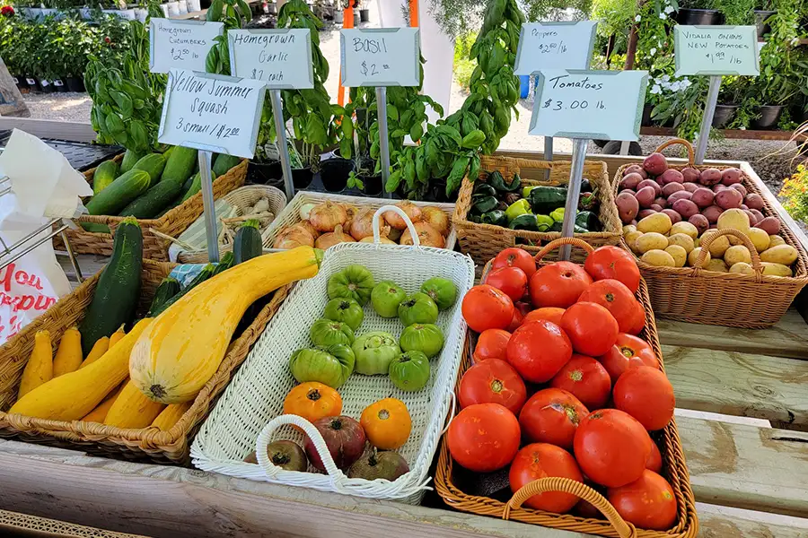 New City Greenhouse - Fresh Produce - Pawnee IL