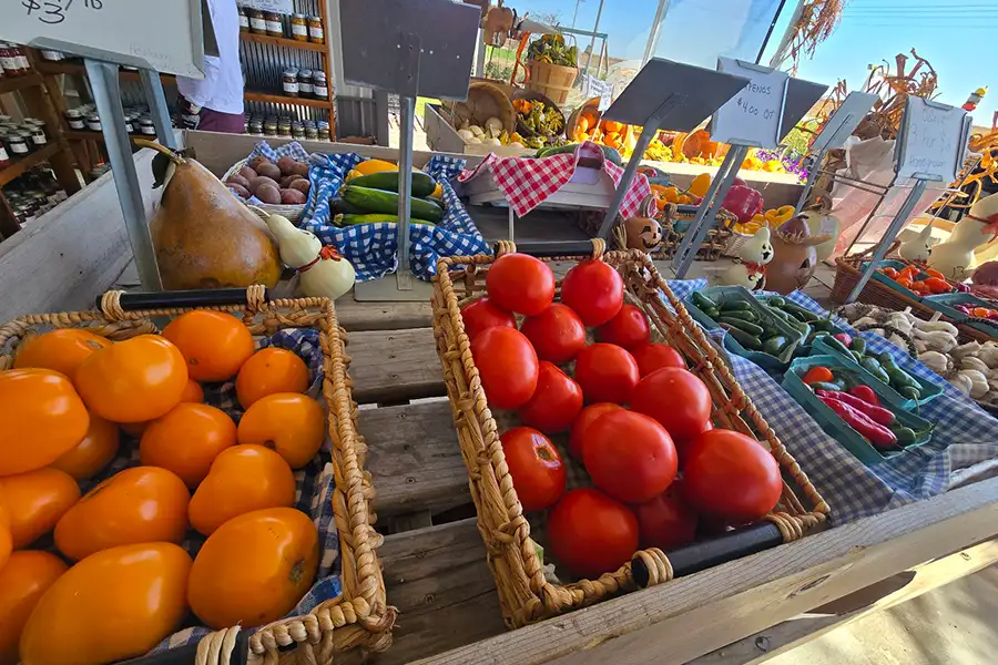 New City Greenhouse - Fresh Produce - Pawnee IL