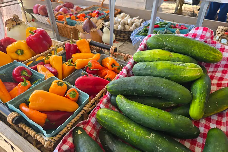 New City Greenhouse - Fresh Produce - Pawnee IL