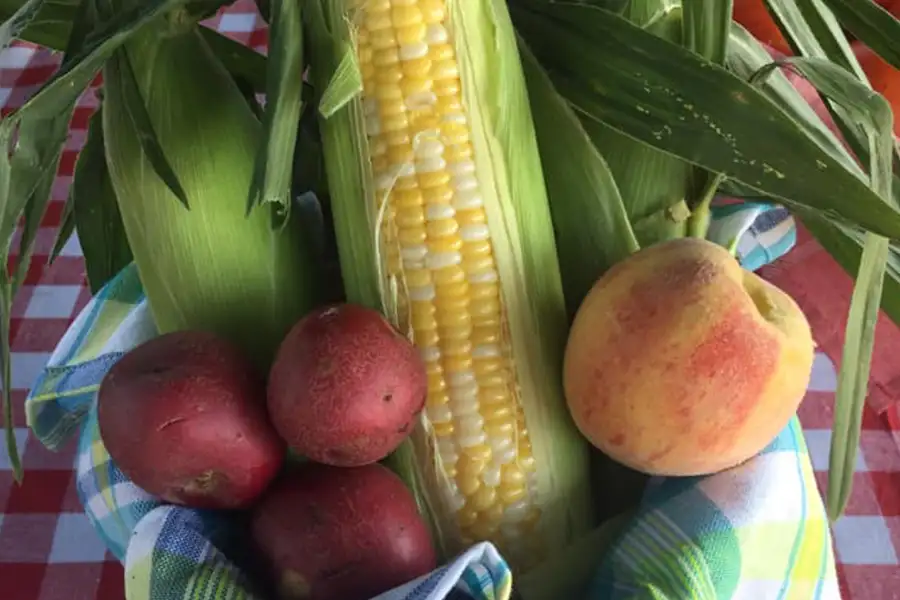 baskets of red potatoes, corn and peaches at New City Greenhouse | Pawnee IL